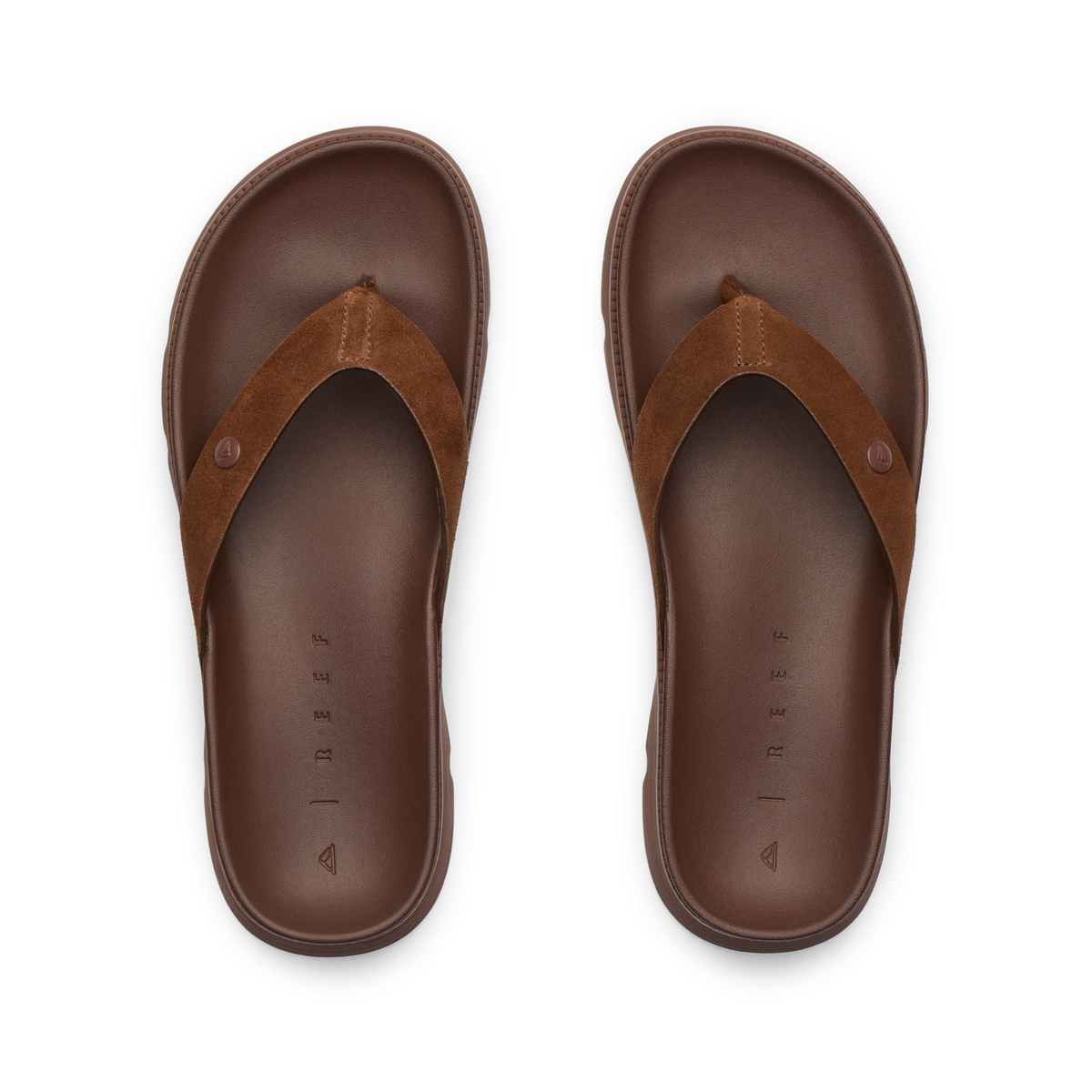 CK0365