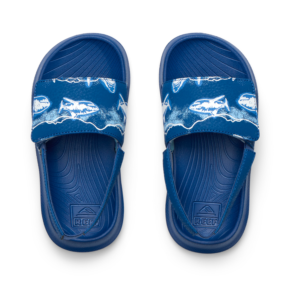 Top view of Little Salty Slide boys’ blue slides with shark print, featuring cushioned footbeds and anatomical arch support.