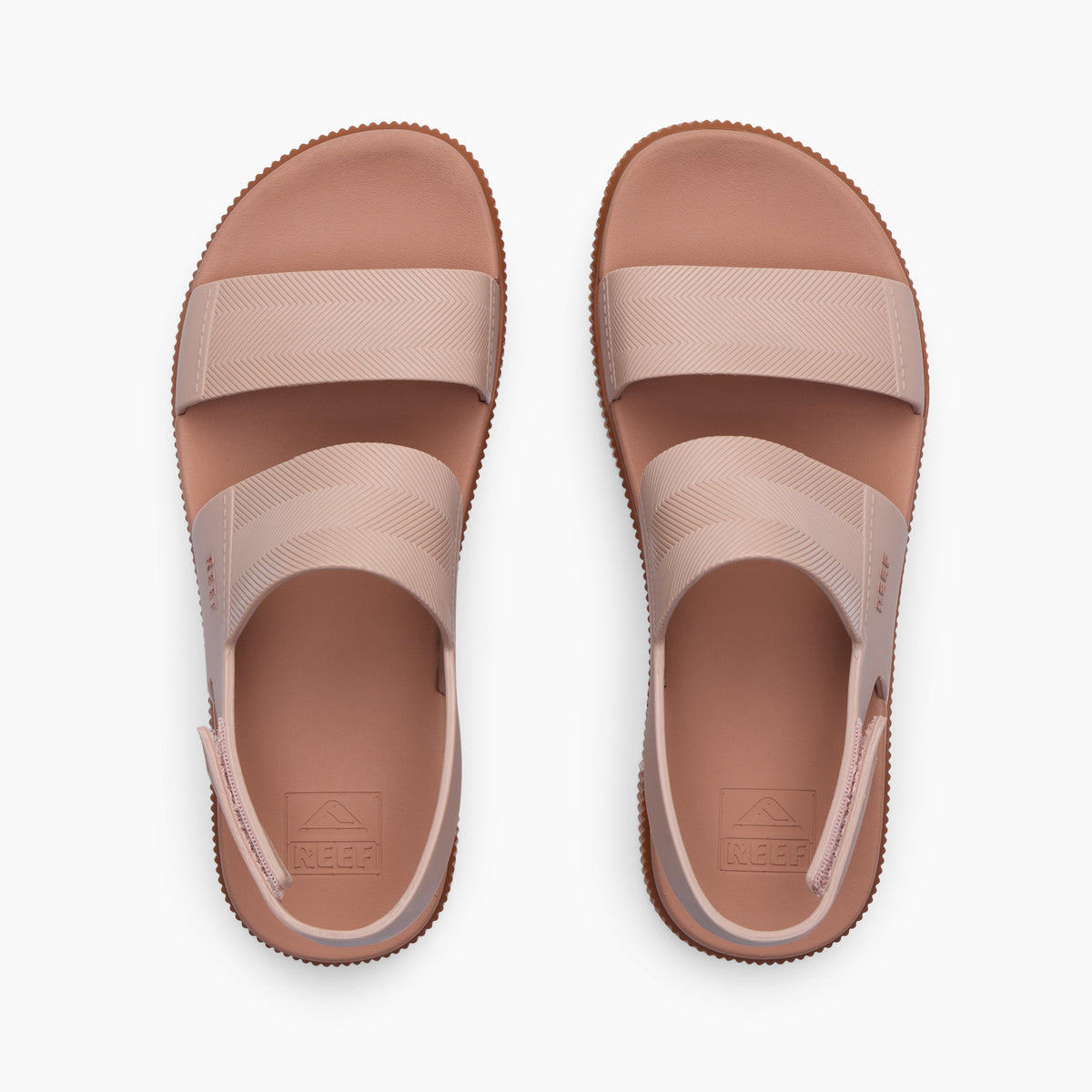 Water Vista Higher - Cameo Rose - Top View